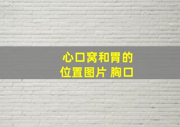 心口窝和胃的位置图片 胸口